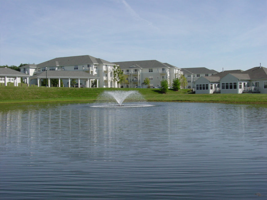 Causes of Smelly Ponds & How To Get Rid Of Pond Smell