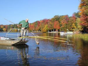 What is Electrofishing?, Benefits & Explanation