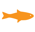 fish-2