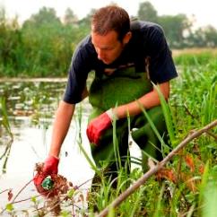 lake-monitoring