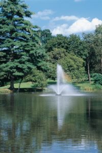 phoenix-aerating-fountain