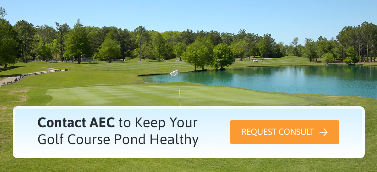 Contact AEC to Keep Your Golf Course Pond Healthy