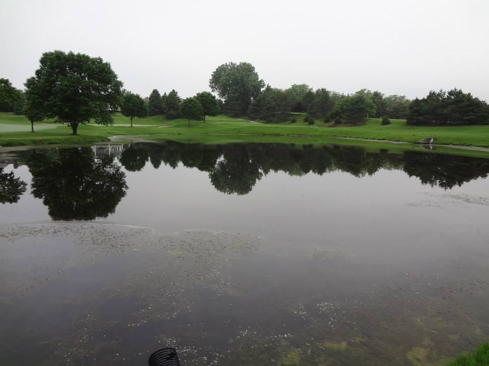 golf course pond management before