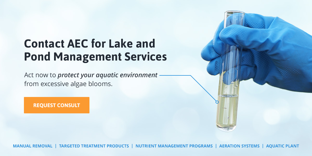 Contact AEC for Lake and Pond Management Services