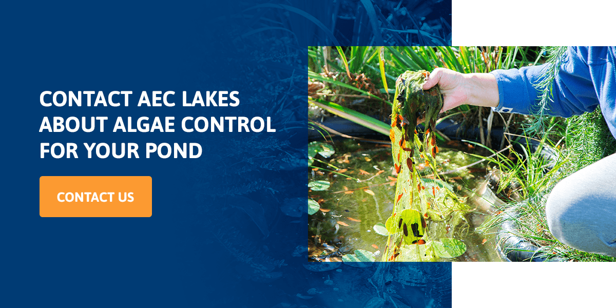 contact AEC about algae control for your pond