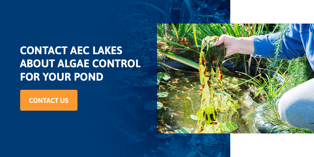 Commercial Algae & Weed Control - Aquatic Control