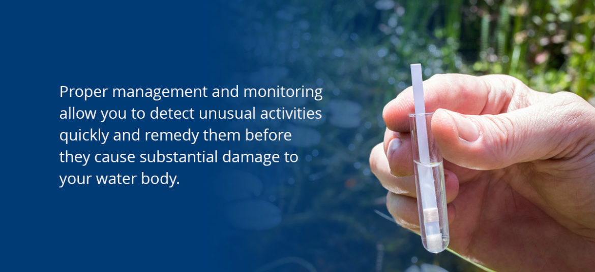 How to Tell If your Lake or Pond Needs Water Quality Testing