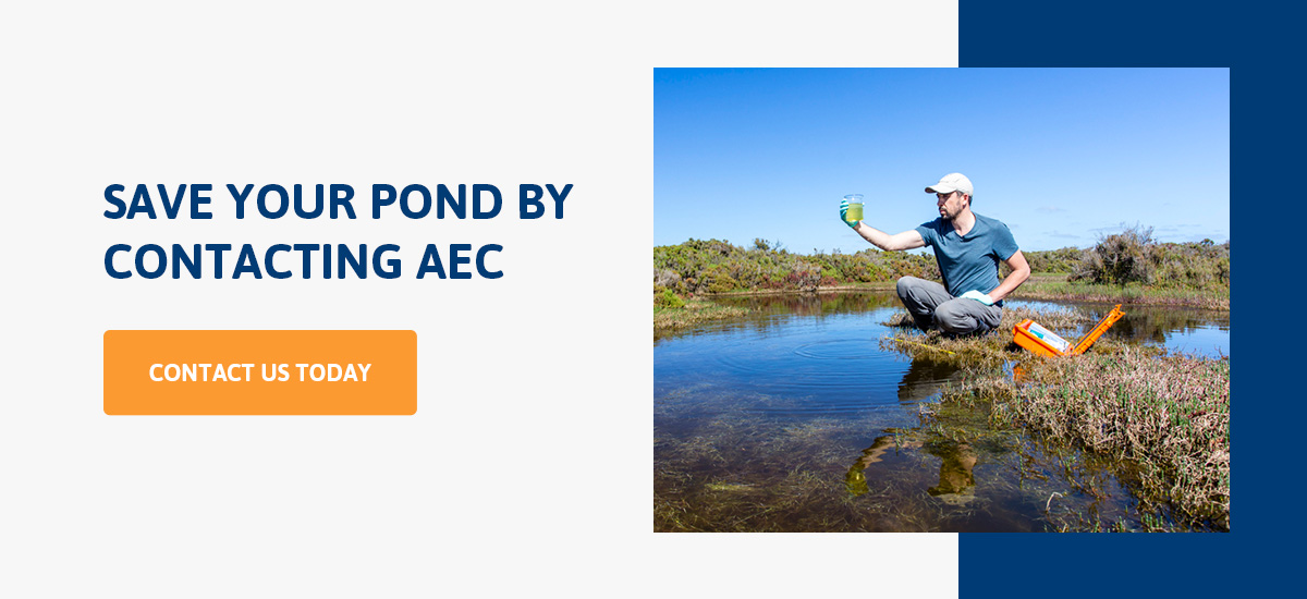 Save Your Pond by Contacting AEC