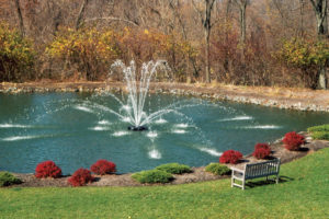 genesis aerating fountain