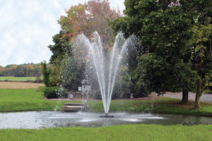 omega aerating fountain