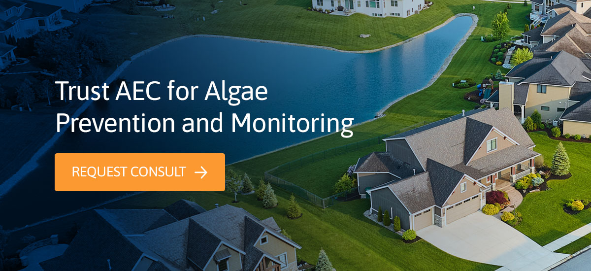 Trust AEC for Algae Prevention and Monitoring