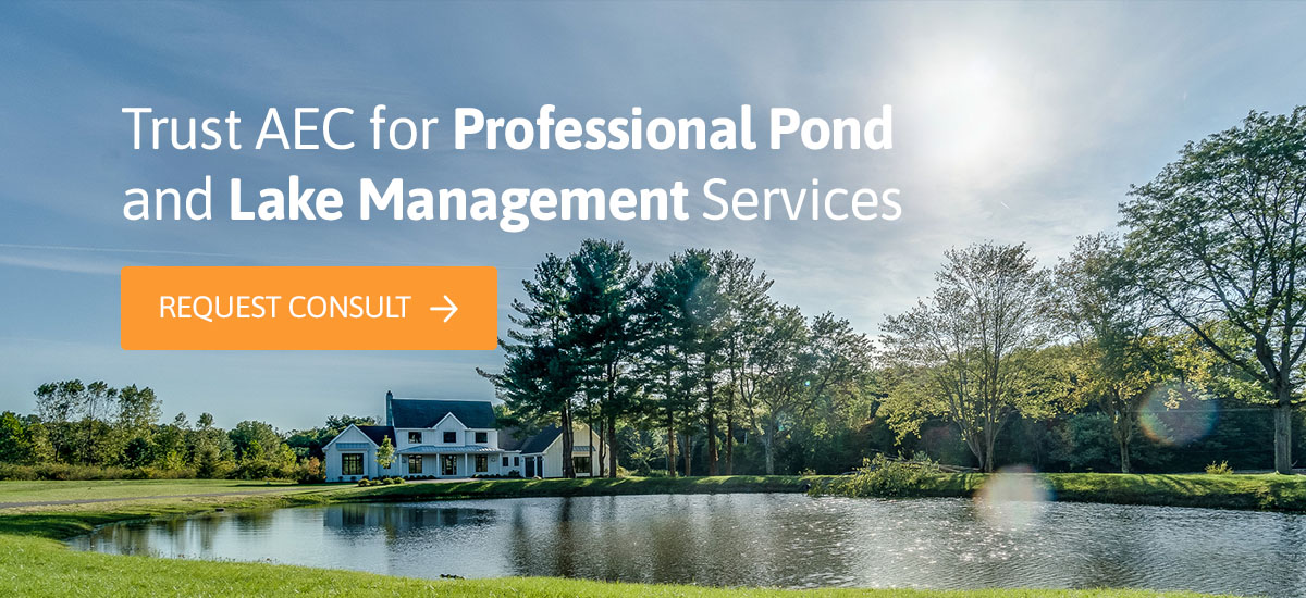 Trust AEC for Professional Pond and Lake Management Services